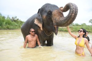 Слоновья ферма в Паттайе