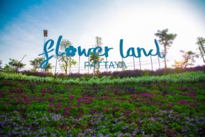 Парк Flower Land