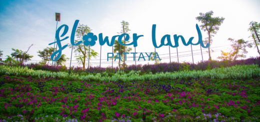 Парк Flower Land