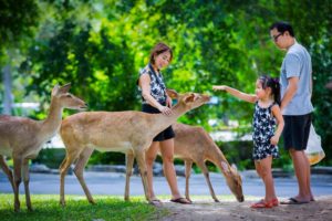 Контактный зоопарк Кхао Кхео