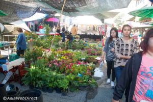 Рынок на Сои Буакао