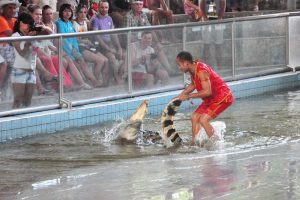 Шоу крокодилов в Паттайе