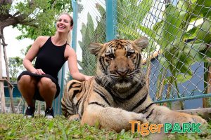 Тигровый парк в Паттайе